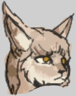 Sahimkurii Kaimi-ilimaji headshot 2