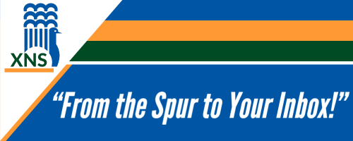 XNS.png