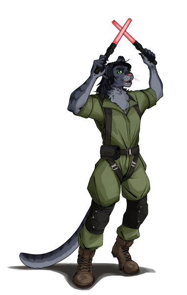 Kalkii Marshalling No Tesla