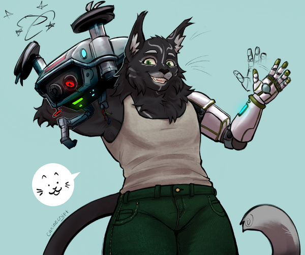 Valyah Mihvanirr, tesla tech